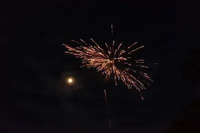 2304034359685633