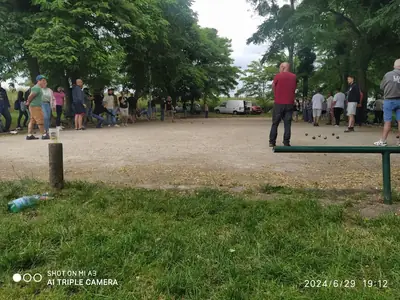 7873207772768236