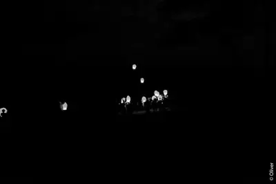1785600034862404