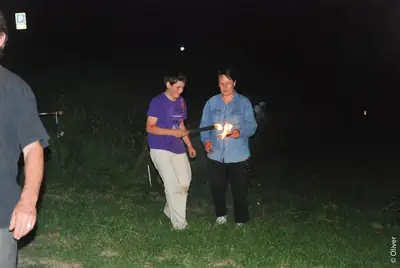1786318764790531