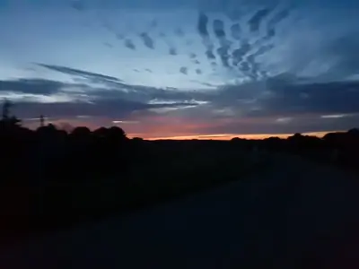 1787893454633062