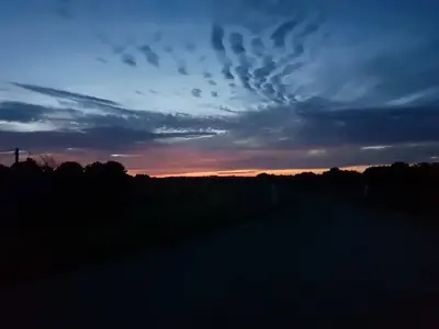 1787894434632964